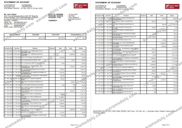 India IDFC First bank statement, 2 pages